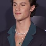 Shawn Mendes